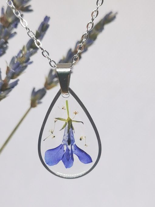 Goutte de lobelia 